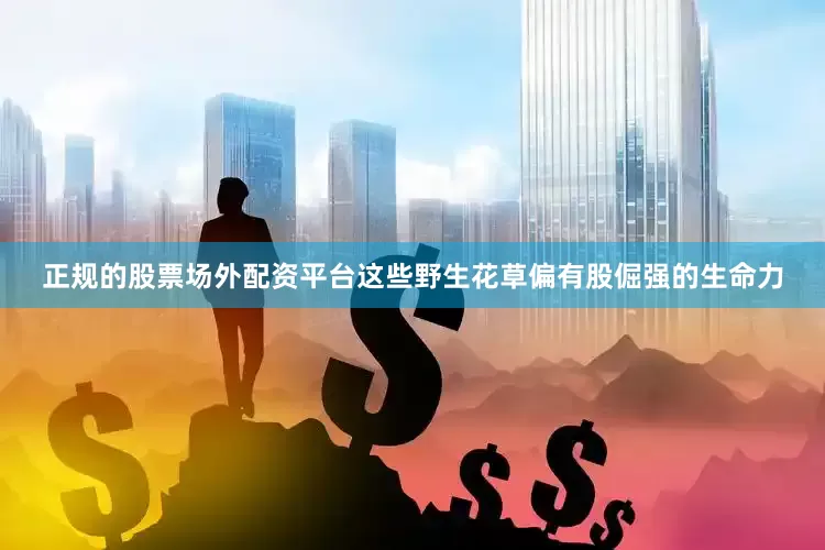 正规的股票场外配资平台这些野生花草偏有股倔强的生命力