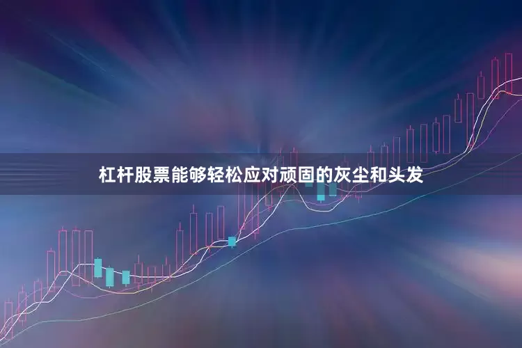 杠杆股票能够轻松应对顽固的灰尘和头发